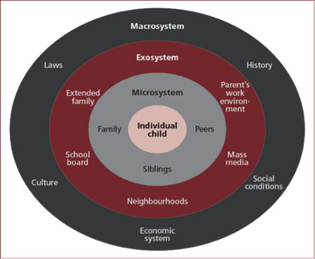 Model Of Care